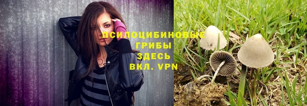 соль курить ск Алзамай