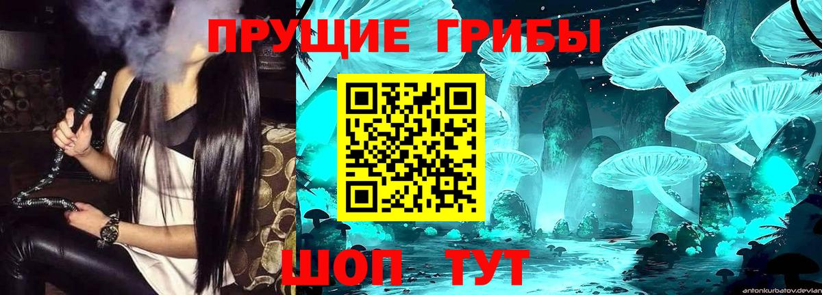Набережные Челны  Галлюциногенные грибы GOLDEN TEACHER  Галлюциногенные грибы GOLDEN TEACHER  Вход с VPN 
