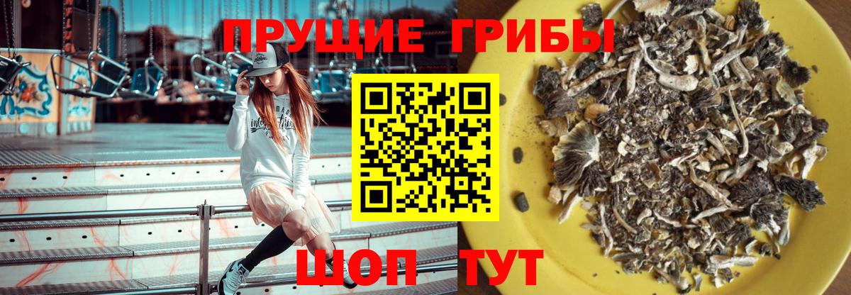 Галлюциногенные грибы MAGIC MUSHROOMS Набережные Челны